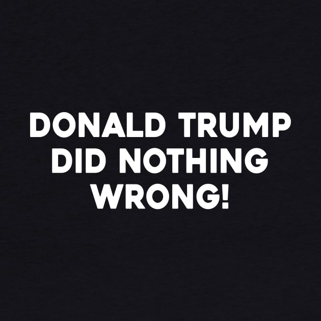 Donald Trump Did Nothing Wrong by Sunoria